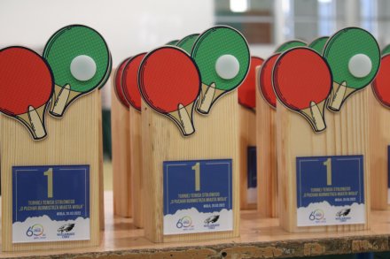 Trofea w kategoriach wiekowych